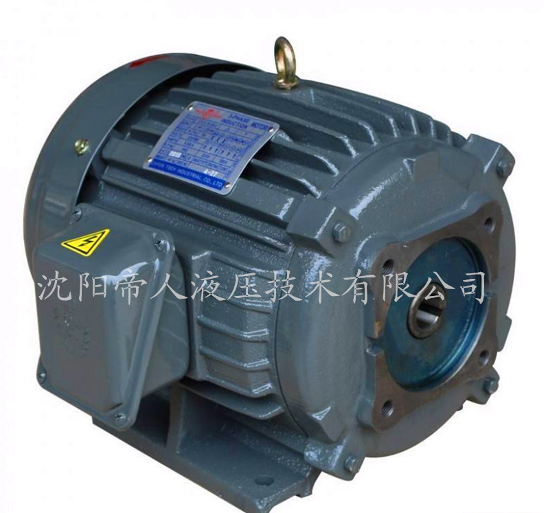 葉片泵專用電機